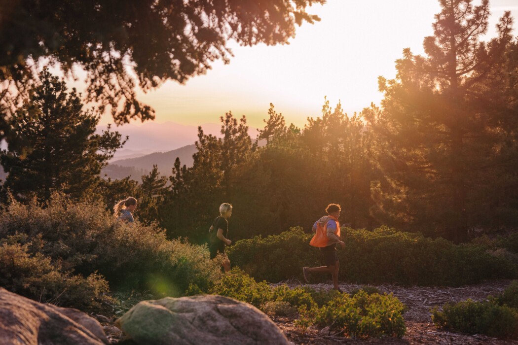 MRL 2 H21 NOVA2 ANTORA2 1566